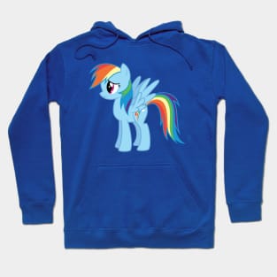 Flutteryay Rainbow Dash 3 Hoodie